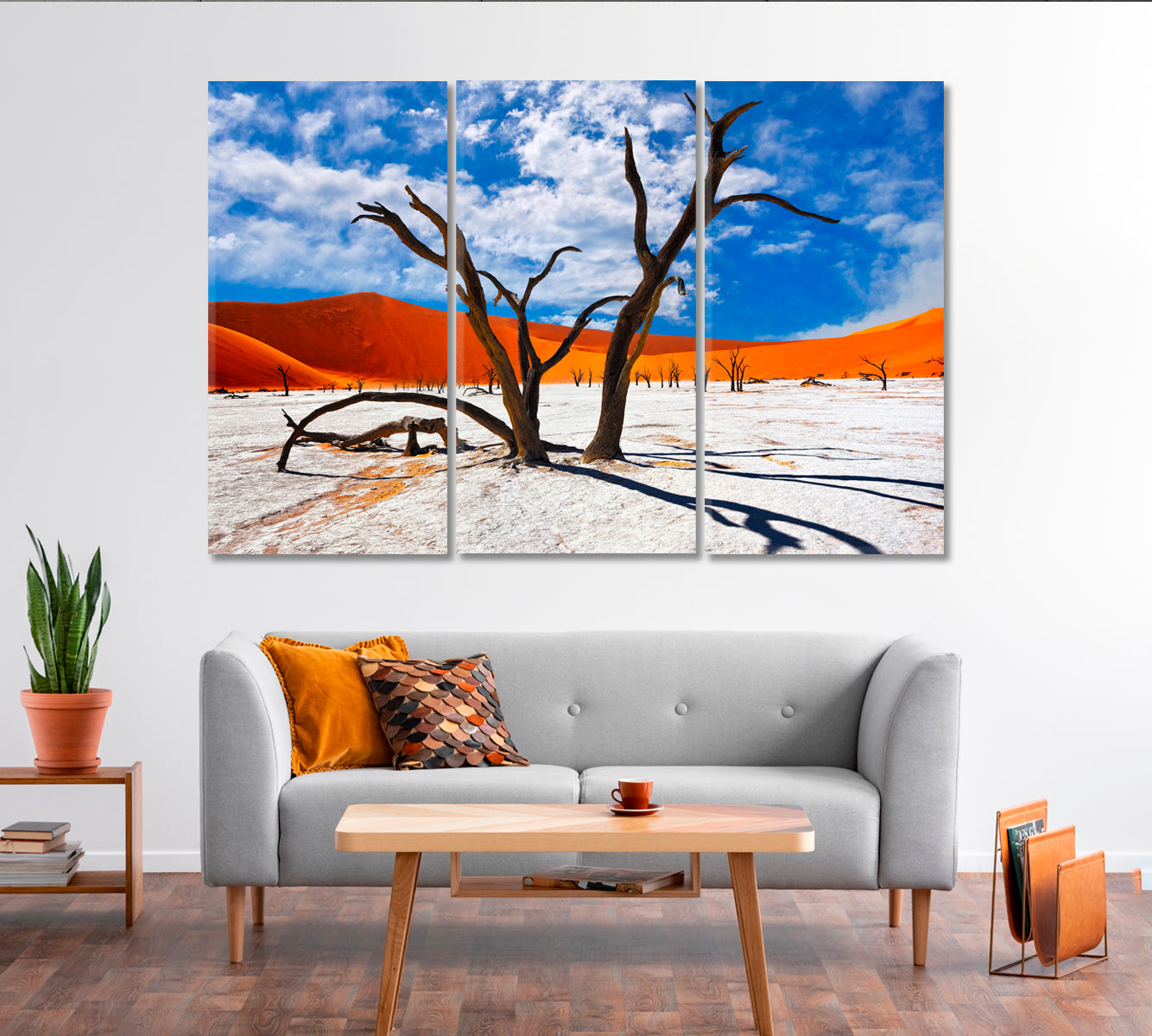 Dead Camel Thorns Trees in Namib Desert Africa Canvas Print-Canvas Print-CetArt-1 Panel-24x16 inches-CetArt