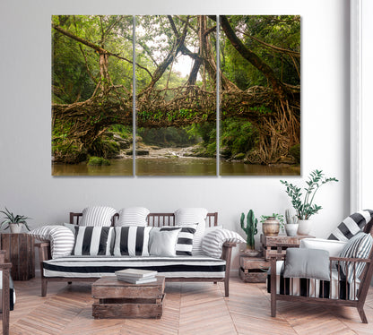 Living Root Bridge Cherrapunji India Canvas Print-Canvas Print-CetArt-1 Panel-24x16 inches-CetArt