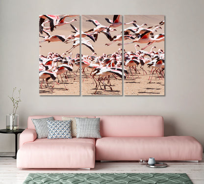 Flamingo Bird Namibia Africa Canvas Print-Canvas Print-CetArt-1 Panel-24x16 inches-CetArt