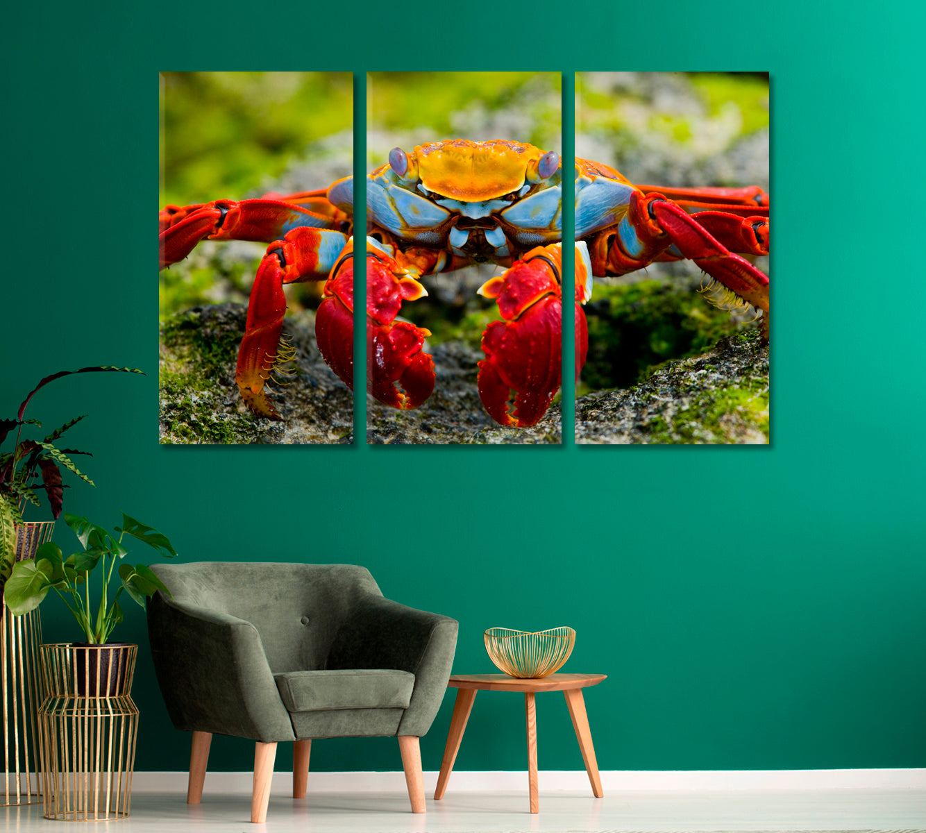 Crab Close Up Canvas Print-Canvas Print-CetArt-1 Panel-24x16 inches-CetArt