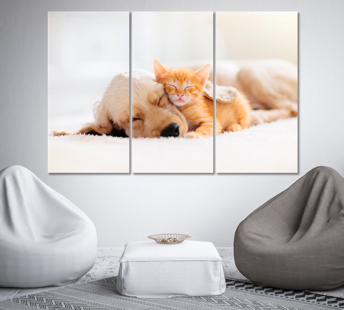 Cat and Puppy Sleeping Together Canvas Print-Canvas Print-CetArt-1 Panel-24x16 inches-CetArt