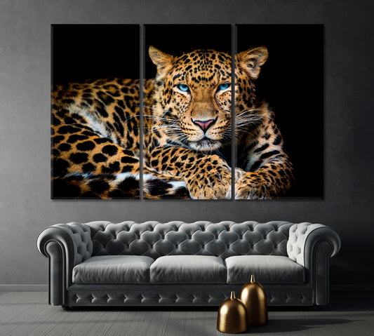 Northern Chinese Leopard with Extraordinary Blue Eyes Canvas Print-Canvas Print-CetArt-1 Panel-24x16 inches-CetArt