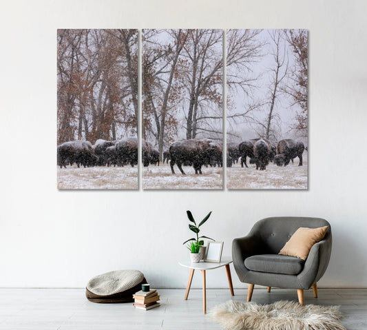 Herd of Bison in Snowfall Canvas Print-Canvas Print-CetArt-1 Panel-24x16 inches-CetArt