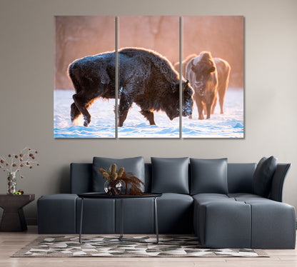 Bisons in the Winter Wild Canvas Print-Canvas Print-CetArt-1 Panel-24x16 inches-CetArt