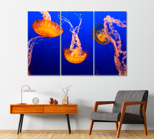 Orange Jellyfish Canvas Print-Canvas Print-CetArt-1 Panel-24x16 inches-CetArt
