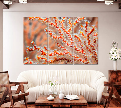 Sea Fan Coral Canvas Print-Canvas Print-CetArt-1 Panel-24x16 inches-CetArt