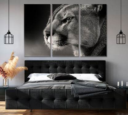 Cougar Face in Black White Canvas Print-Canvas Print-CetArt-1 Panel-24x16 inches-CetArt