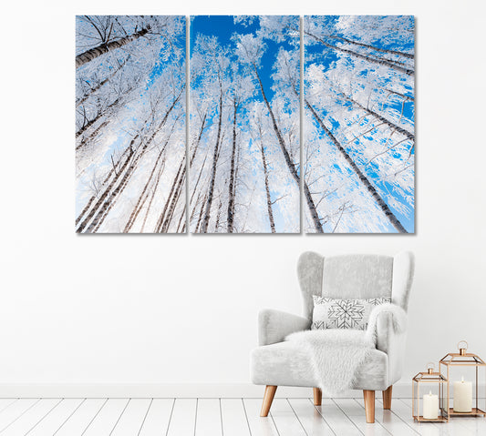 Snow Covered Birch Trees and Clear Blue Sky Canvas Print-Canvas Print-CetArt-1 Panel-24x16 inches-CetArt