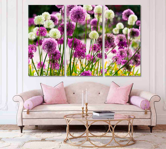 Beautiful Allium Bloom Canvas Print-Canvas Print-CetArt-1 Panel-24x16 inches-CetArt