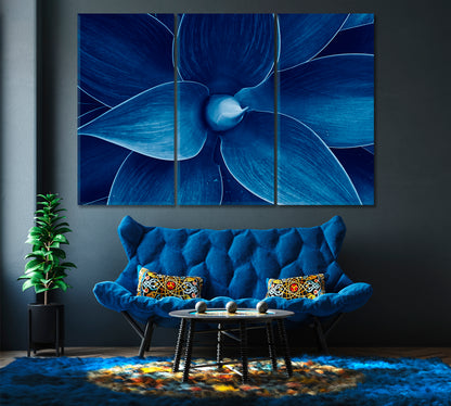 Blue Agave Canvas Print-Canvas Print-CetArt-1 Panel-24x16 inches-CetArt