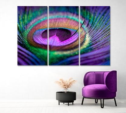 Multicolored Peacock Feather Canvas Print-Canvas Print-CetArt-1 Panel-24x16 inches-CetArt