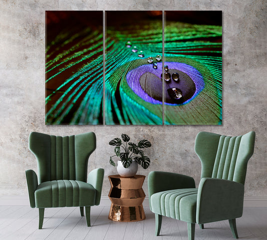 Peacock Feather with Drops of Water Canvas Print-Canvas Print-CetArt-1 Panel-24x16 inches-CetArt