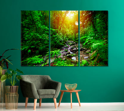 Guadeloupe National Park Canvas Print-Canvas Print-CetArt-1 Panel-24x16 inches-CetArt