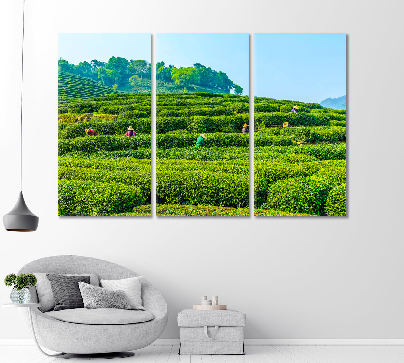 Tea Plantation in West Lake Longjing Hangzhou Canvas Print-Canvas Print-CetArt-1 Panel-24x16 inches-CetArt