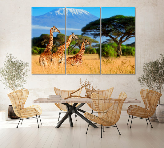 Three Giraffe near Kilimanjaro Mountain Africa Canvas Print-Canvas Print-CetArt-1 Panel-24x16 inches-CetArt