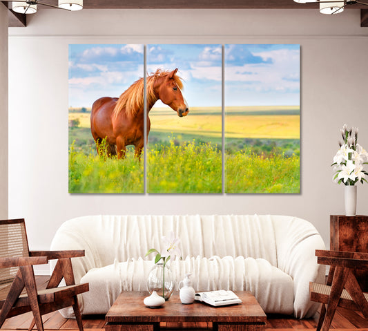 Red Horse in Flower Field Canvas Print-Canvas Print-CetArt-1 Panel-24x16 inches-CetArt