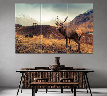Scottish Mountain Landscape with Deer Canvas Print-Canvas Print-CetArt-1 Panel-24x16 inches-CetArt