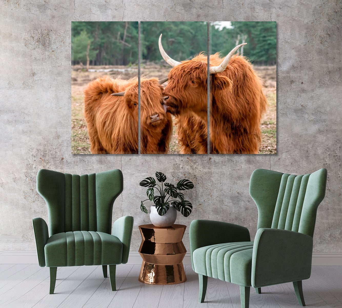 Beautiful Highland Cow Cattle with Calf Canvas Print-Canvas Print-CetArt-1 Panel-24x16 inches-CetArt