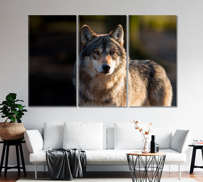 Stately Gray Wolf Canvas Print-Canvas Print-CetArt-1 Panel-24x16 inches-CetArt