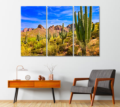 Saguaro Cactus in Sonoran Desert Arizona Canvas Print-Canvas Print-CetArt-1 Panel-24x16 inches-CetArt