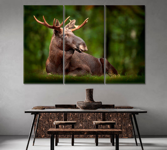 American Moose in Natural Habitat Canvas Print-Canvas Print-CetArt-1 Panel-24x16 inches-CetArt