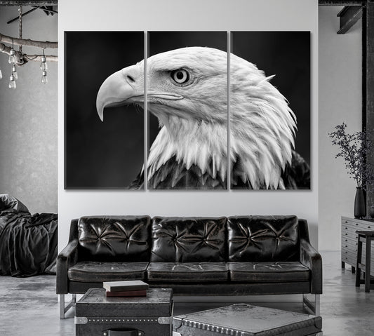 Bald Eagle Portrait in Black and White Canvas Print-Canvas Print-CetArt-1 Panel-24x16 inches-CetArt