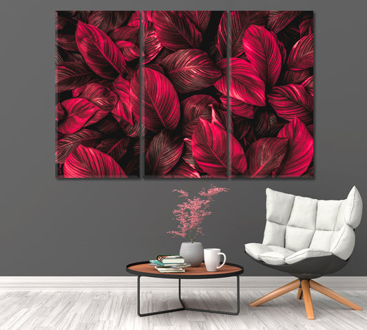 Red Leaves of Spathiphyllum Canvas Print-Canvas Print-CetArt-1 Panel-24x16 inches-CetArt