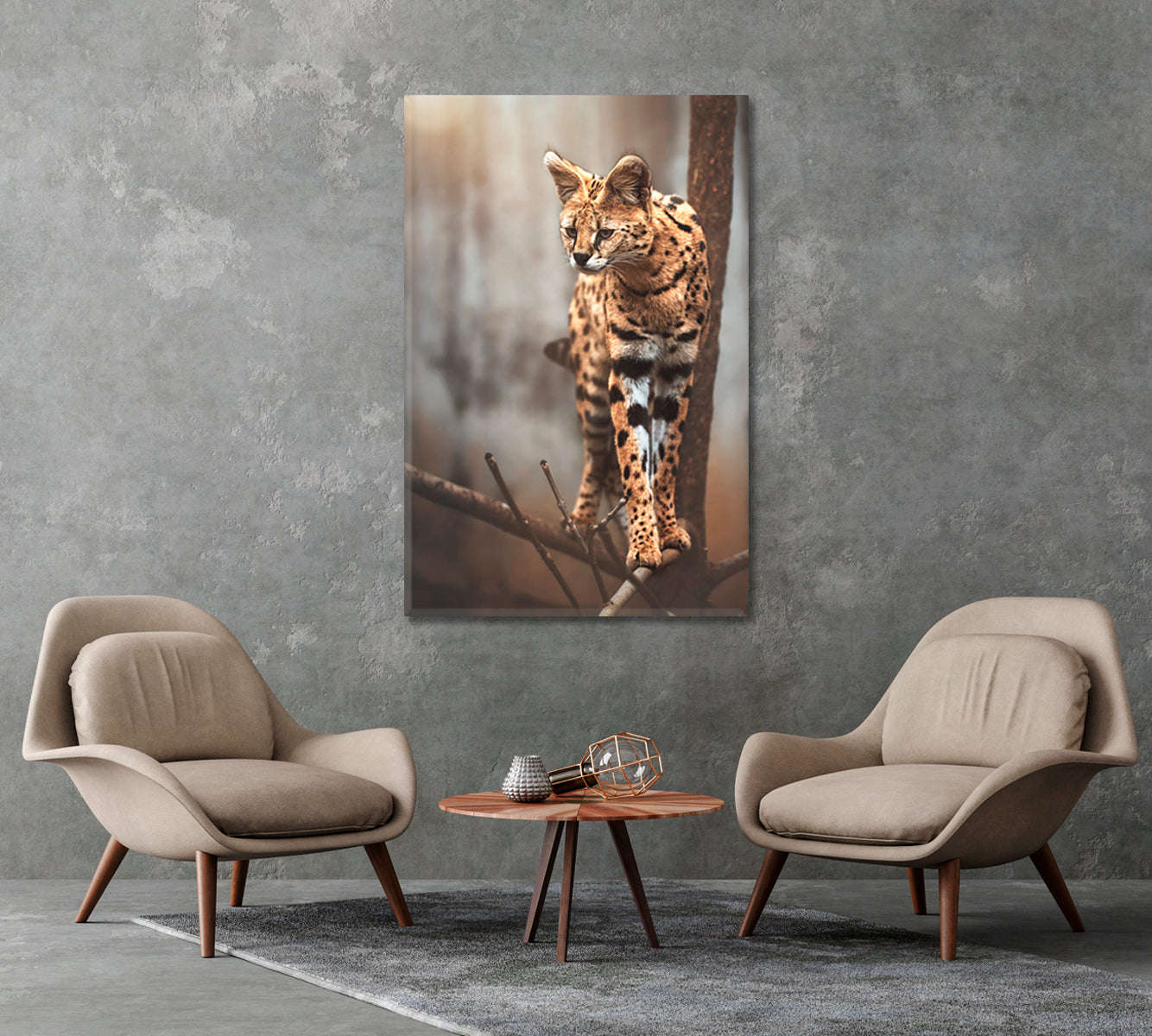 Lovely Serval Canvas Print-Canvas Print-CetArt-1 panel-16x24 inches-CetArt