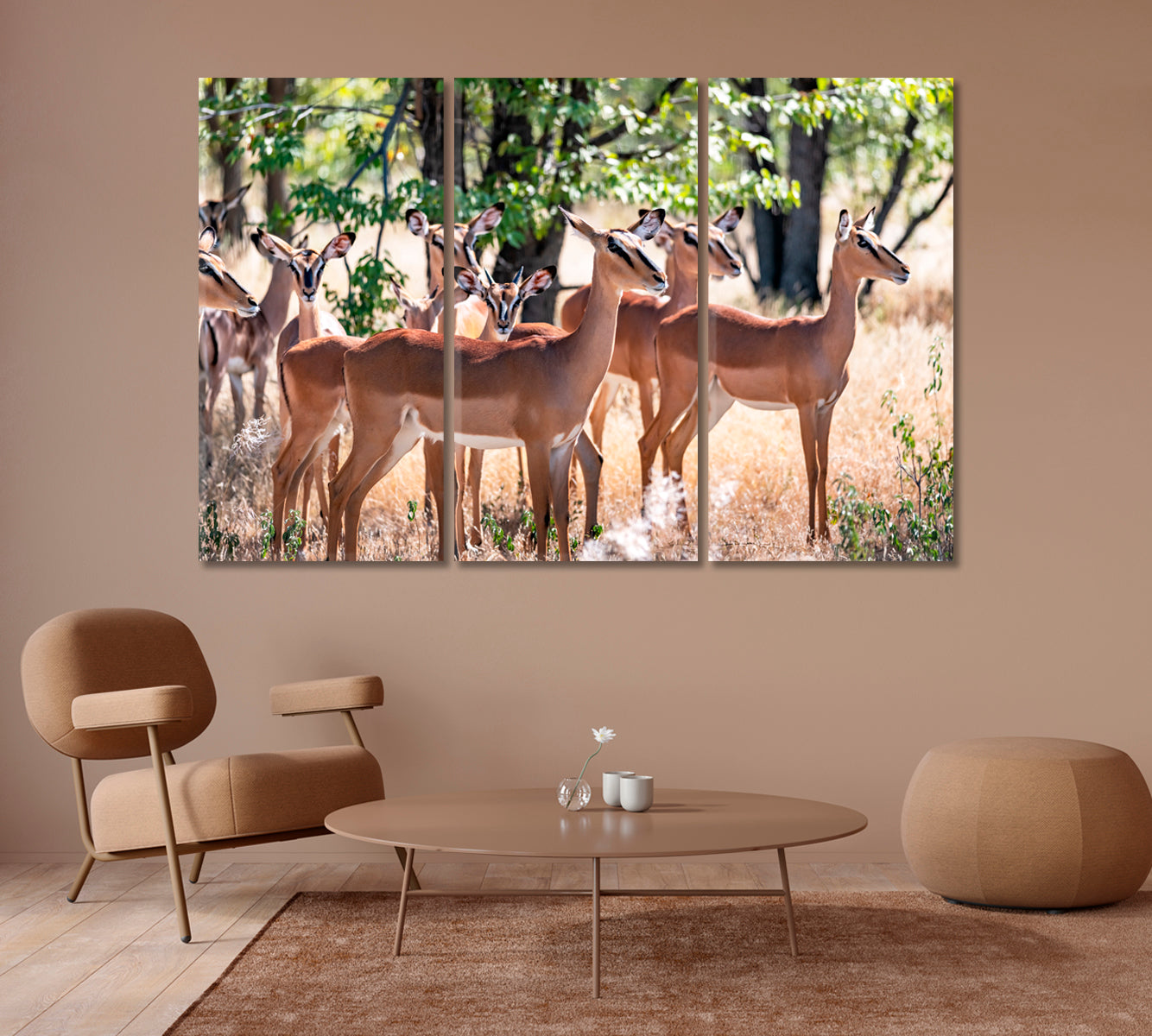 Herd of Impala in Forest Etosha National Park Namibia Africa Canvas Print-Canvas Print-CetArt-1 Panel-24x16 inches-CetArt