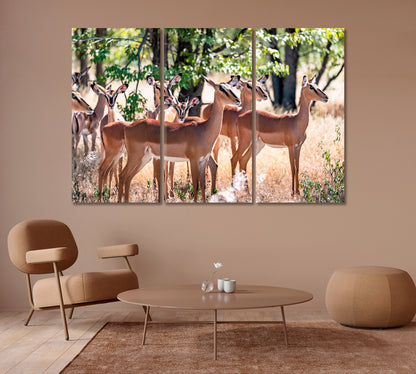 Herd of Impala in Forest Etosha National Park Namibia Africa Canvas Print-Canvas Print-CetArt-1 Panel-24x16 inches-CetArt