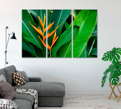 Strelitzia Bird Of Paradise Flower Canvas Print-Canvas Print-CetArt-1 Panel-24x16 inches-CetArt