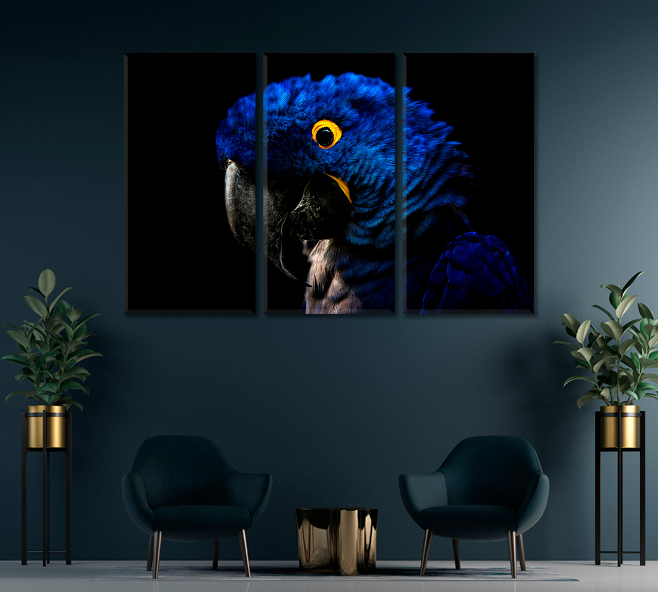 Hyacinth Macaw Parrot Canvas Print-Canvas Print-CetArt-1 Panel-24x16 inches-CetArt