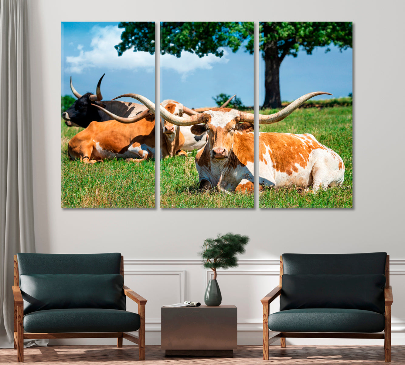 Texas Longhorn Cattle Canvas Print-Canvas Print-CetArt-1 Panel-24x16 inches-CetArt