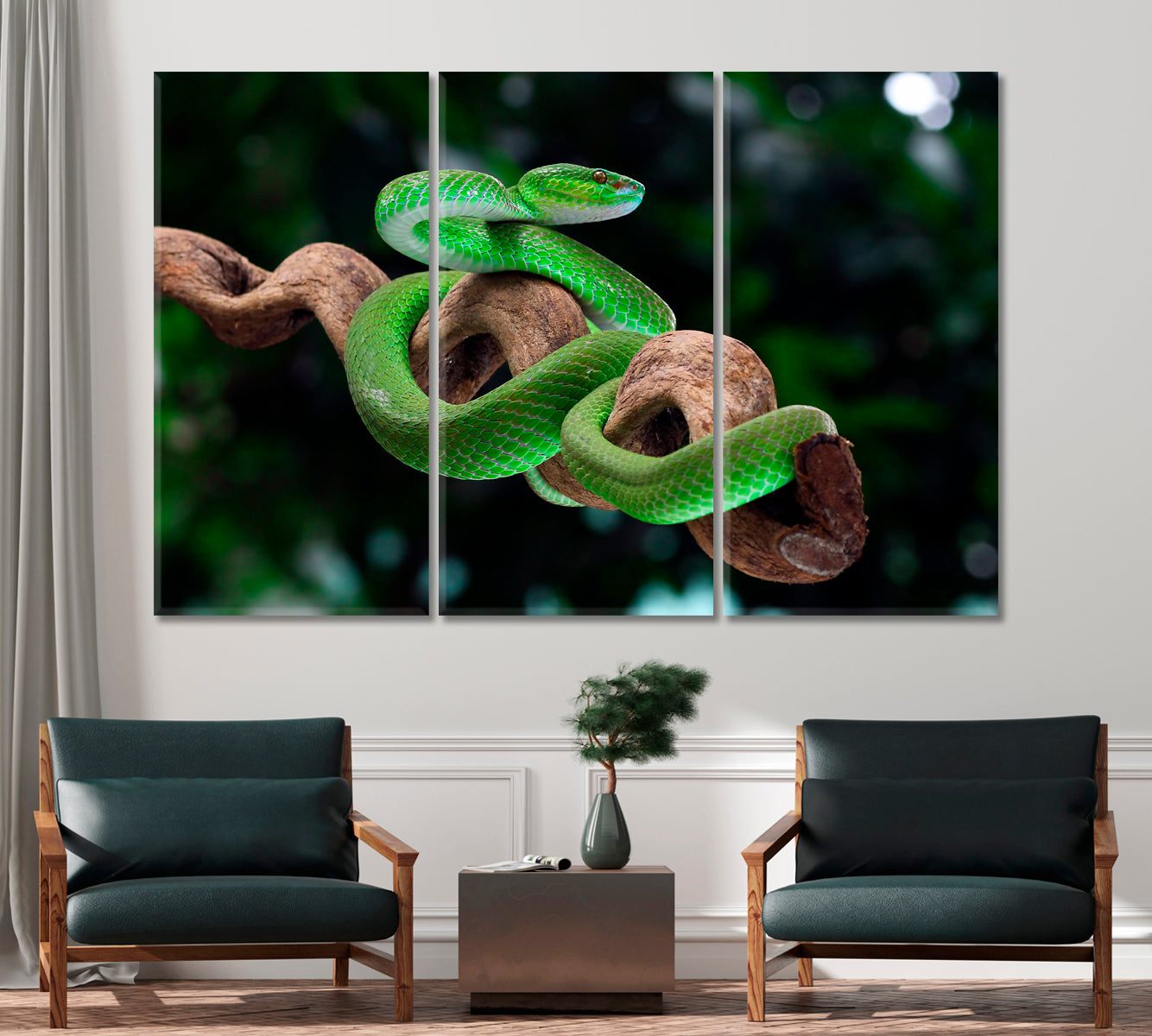 Green Poisonous Snake Canvas Print-Canvas Print-CetArt-1 Panel-24x16 inches-CetArt