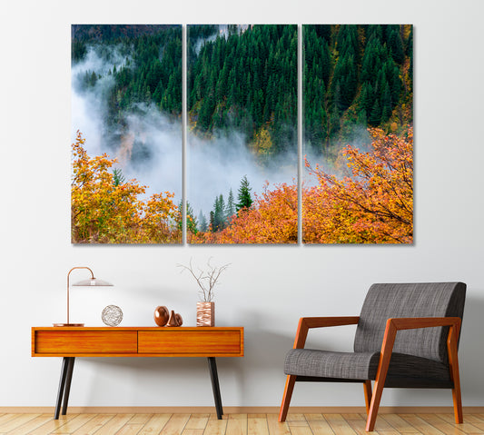 Autumn Forest at Mount Rainier National Park Seattle USA Canvas Print-Canvas Print-CetArt-1 Panel-24x16 inches-CetArt