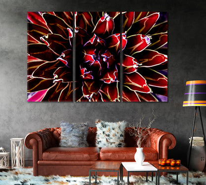 Purple Agave Cactus Canvas Print-Canvas Print-CetArt-1 Panel-24x16 inches-CetArt