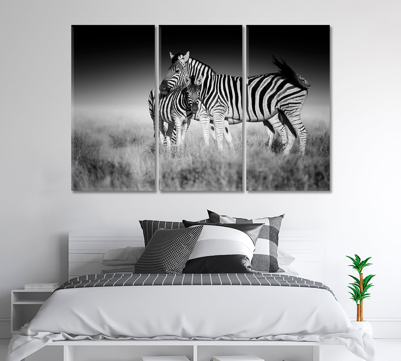 Zebra Mother and Foal in Black and White Canvas Print-Canvas Print-CetArt-1 Panel-24x16 inches-CetArt