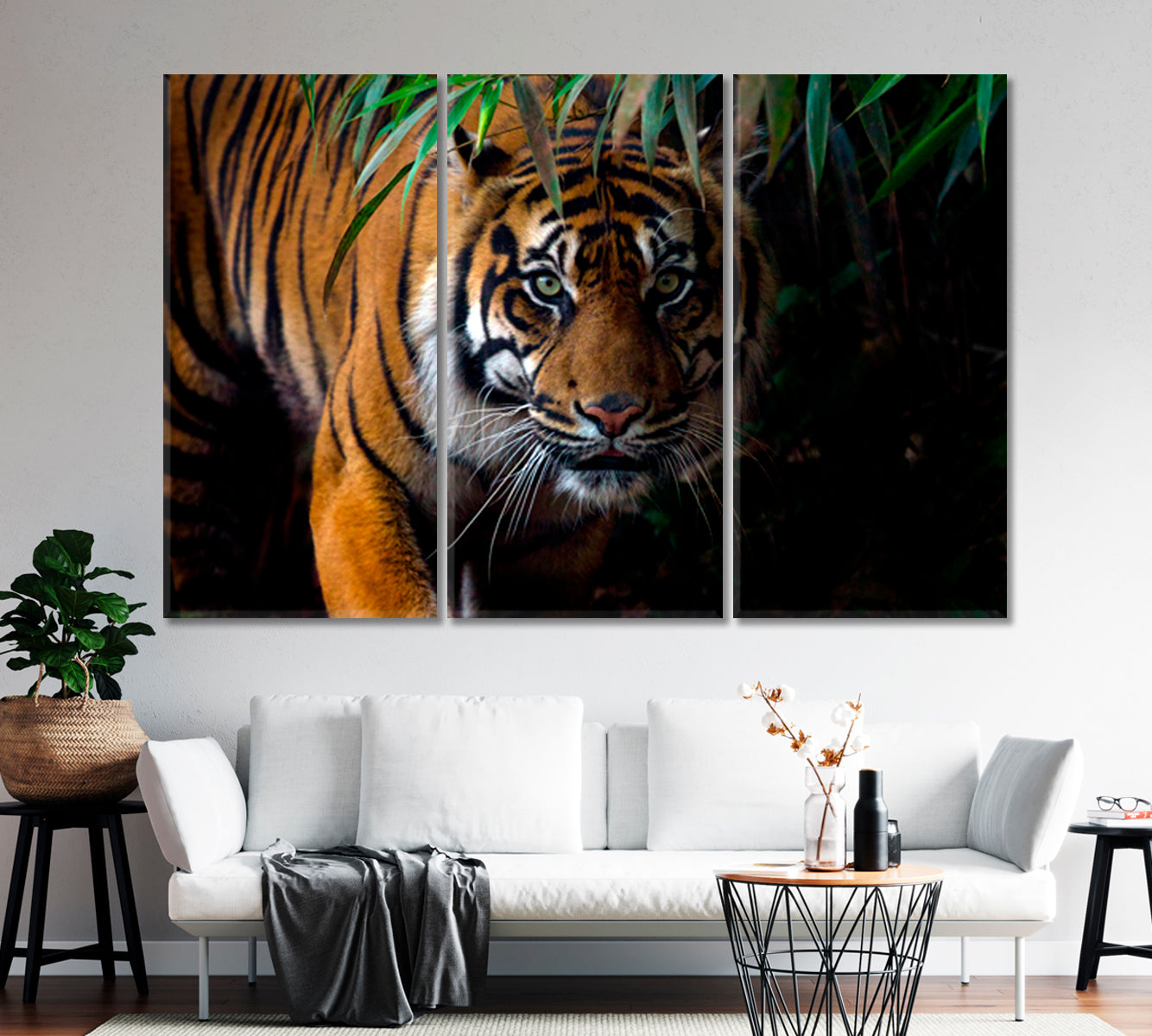 Sumatran Tiger on the Prowl Canvas Print-Canvas Print-CetArt-1 Panel-24x16 inches-CetArt