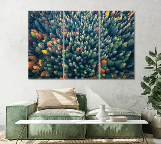 Yellow and Green Autumn Trees in Colorful Forest Canvas Print-Canvas Print-CetArt-1 Panel-24x16 inches-CetArt