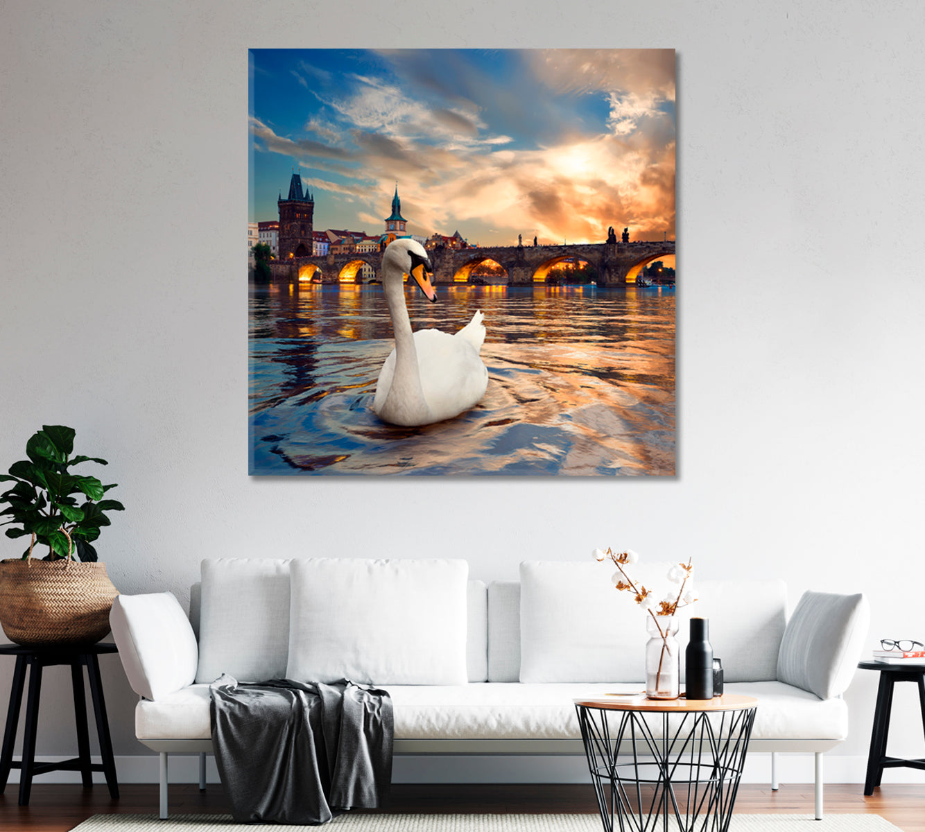 Swan in Vltava River in Prague Canvas Print-Canvas Print-CetArt-1 panel-12x12 inches-CetArt