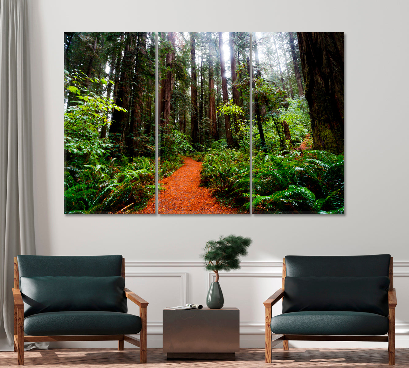 California Redwoods Canvas Print-Canvas Print-CetArt-1 Panel-24x16 inches-CetArt