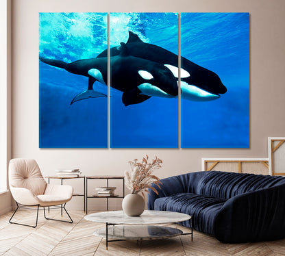 Killer Whale Female with Cub Canvas Print-Canvas Print-CetArt-1 Panel-24x16 inches-CetArt