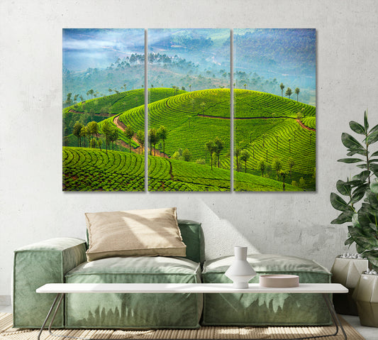 Tea Plantations in Munnar India Canvas Print-Canvas Print-CetArt-1 Panel-24x16 inches-CetArt