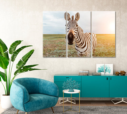Charming Zebra Face Canvas Print-Canvas Print-CetArt-1 Panel-24x16 inches-CetArt