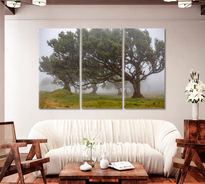 Beautiful Trees in Fog Canvas Print-Canvas Print-CetArt-1 Panel-24x16 inches-CetArt