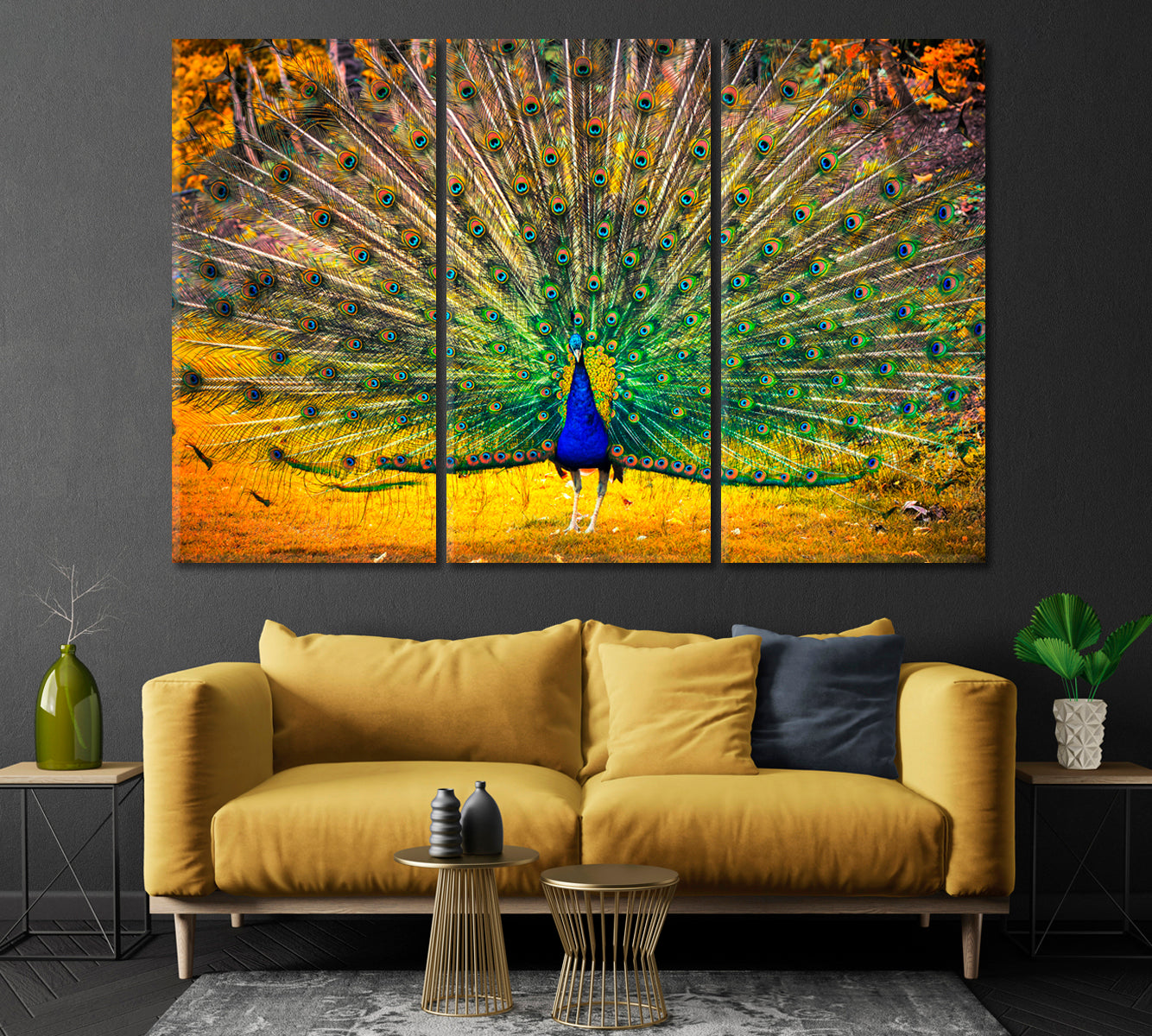 Blue Peacock with Open Tail Canvas Print-Canvas Print-CetArt-1 Panel-24x16 inches-CetArt