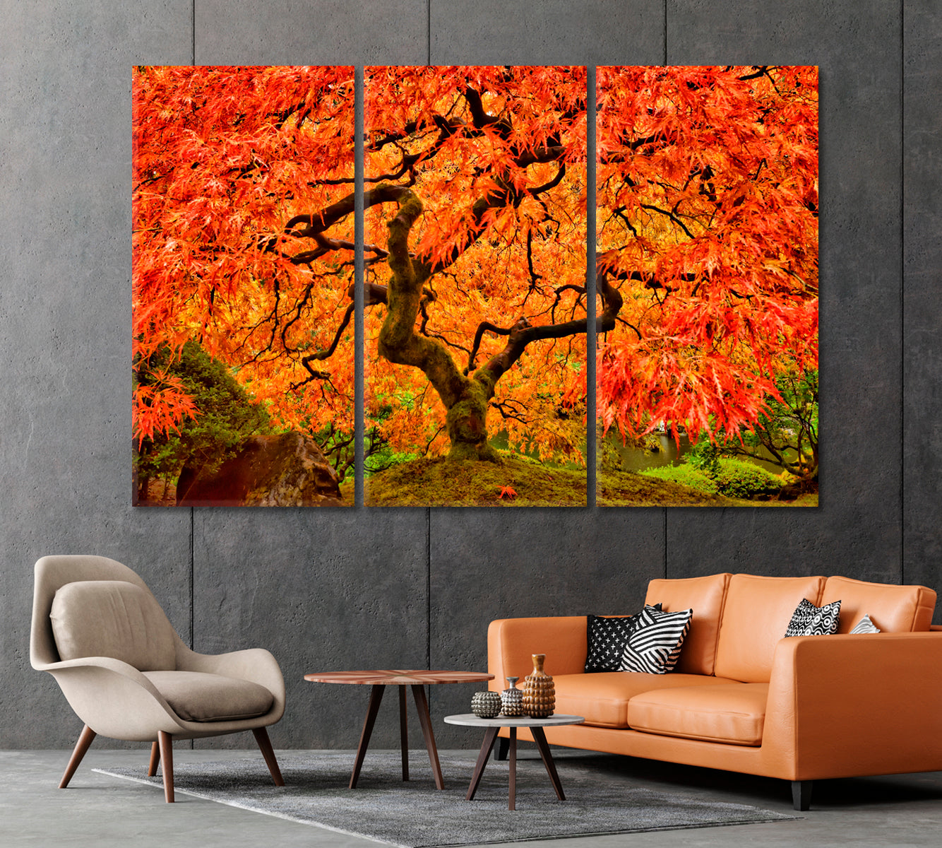 Japanese Maple in Autumn Canvas Print-Canvas Print-CetArt-1 Panel-24x16 inches-CetArt