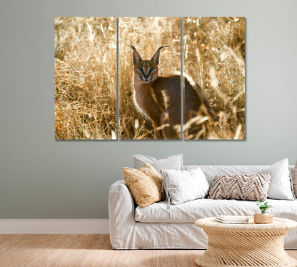 Caracal African Lynx Canvas Print-Canvas Print-CetArt-1 Panel-24x16 inches-CetArt