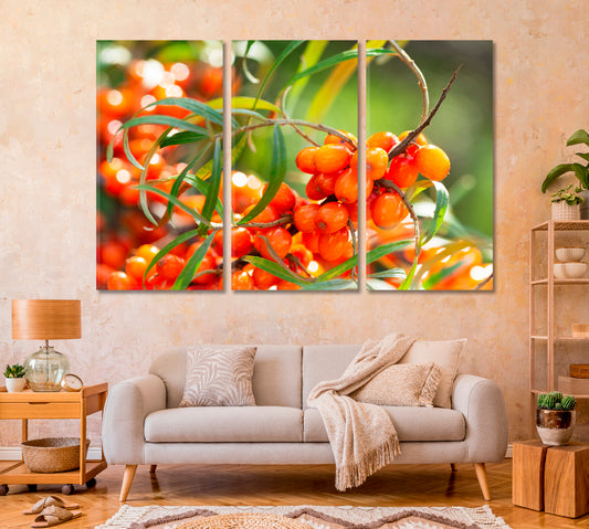 Branch of Ripe Sea Buckthorn Berries Canvas Print-Canvas Print-CetArt-1 Panel-24x16 inches-CetArt