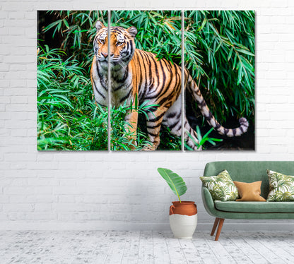 Wild Bengal Tiger on the Hunt Canvas Print-Canvas Print-CetArt-1 Panel-24x16 inches-CetArt